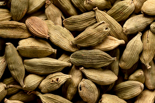 Cardamom